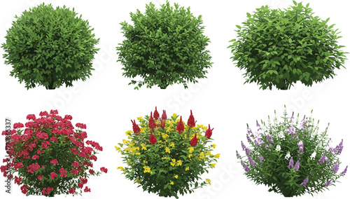 Bushes and flowering shrubs, garden plants, green foliage, vibrant blooms, landscaping elements, nature design, seasonal flowers, botanical variety, outdoor greenery