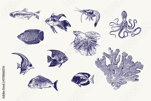 Collage Hand drawn Fish Set. Vintage Engraving Style. Vector Illustration.