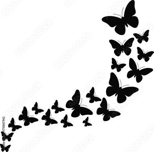 A swirl of black butterflies in silhouette formation
