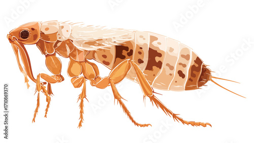 Tiny Flea Jumping with Bumpy Texture - Vector Illustration for Projects