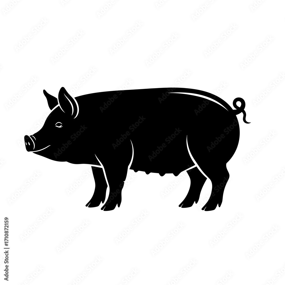 Fototapeta premium vector illustration of a pig