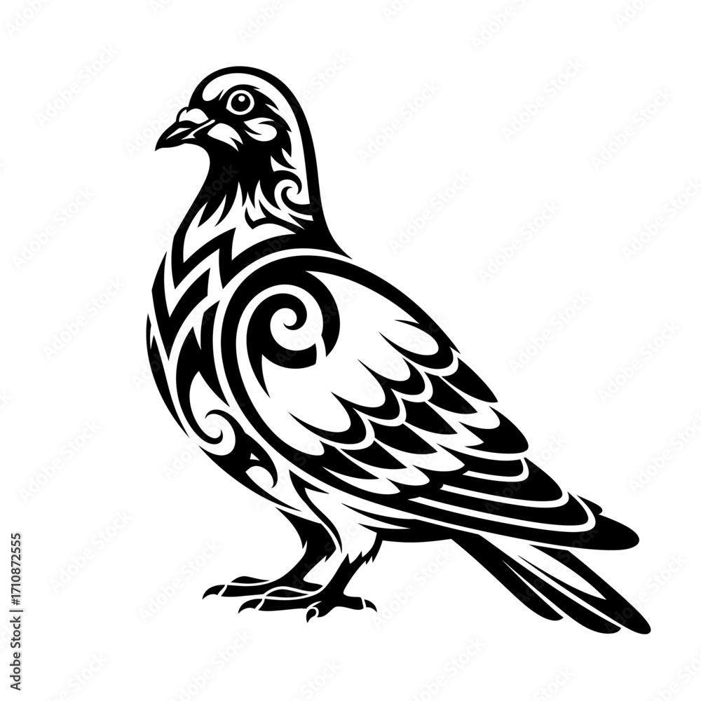 Obraz premium dove isolated on white background