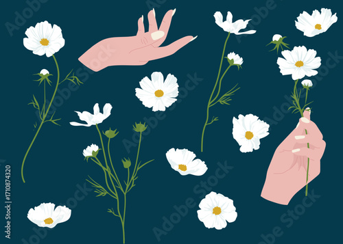 Cosmos with elegant hands