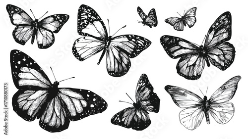 Hand Drawn Doodle Set of Monarch Butterflies
