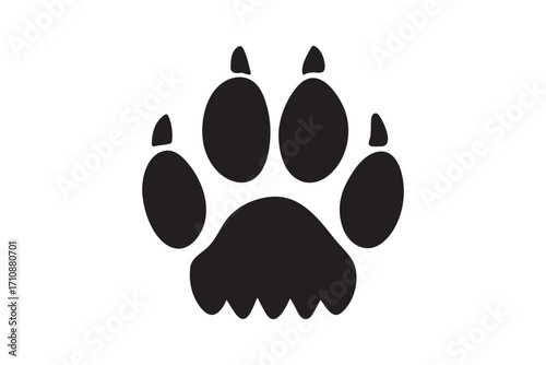 Vector paw trail of animal footprint. Dog, cat, puppy, fox, wolf tracks isolated on white background. Animal tracks in silhouette. Wild animal footsteps