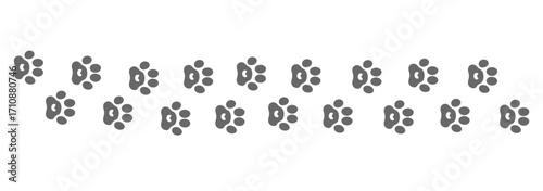 Paw vector foot trail print of cat. Dog, pattern animal tracks isolated on white background, backgrounds, vector icon Illustration