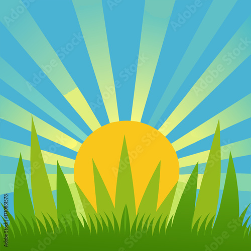 Grassy background. Summer landscape with sun and grass.