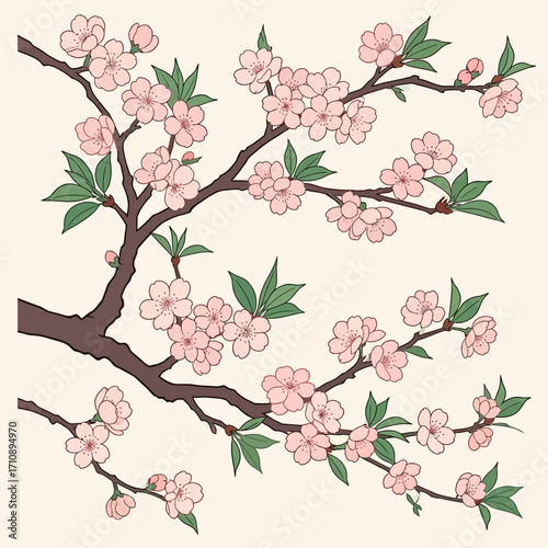 Pink cherry blossoms on a tree branch against a light background.