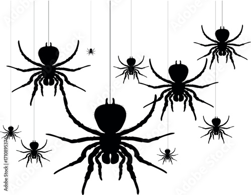 Large tarantula spiders descend on a web in Halloween style