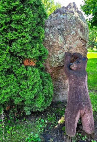 old tree trunk