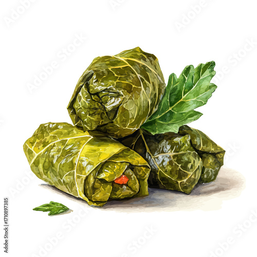 A watercolor painting of Dolma Stuffed Grape Leaves, vector illustration on white background.