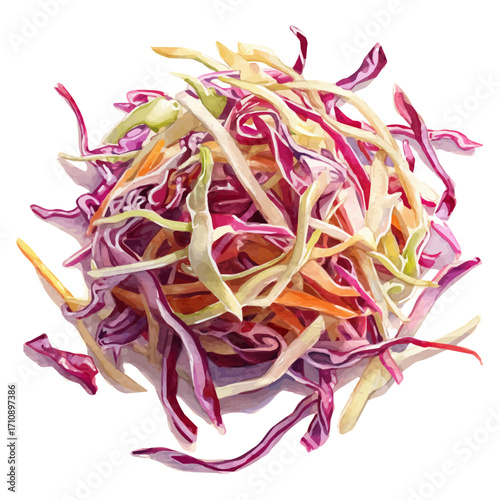 Watercolor vector illustration of Coleslaw, isolated on white background.