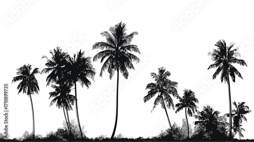 Palm Trees Silhouettes on White Background Vector Illustration