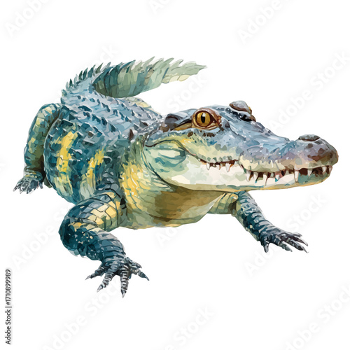 Crocodile, watercolor painting, vector illustration, isolated on a white background.