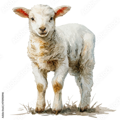 Watercolor vector illustration of Lamb, isolated on white background.