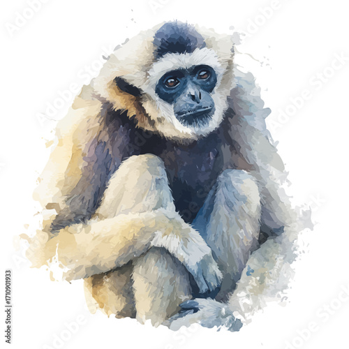 A watercolor painting of Gibbon, vector illustration on white background.