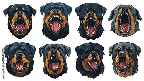 Rottweiler Dog Big Head Vector Isolated for Graphic Design Projects