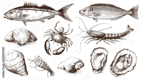 Vintage Ocean Fish Sketches Set for Seafood Designs and Menu Illustrations