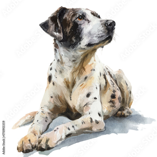 Farm Dog in watercolor style, vector illustration, isolated on white background.