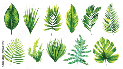 Lush Green Tropical Jungle Foliage Background for Design Projects