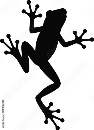 Black silhouette of a tree frog or toad with splayed limbs, detailed vector illustration of an amphibian on a white background, isolated.