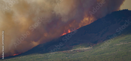 Flames, Smoke, and a Charred Landscape Surround Homes