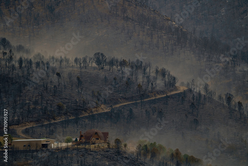 Flames, Smoke, and a Charred Landscape Surround Homes