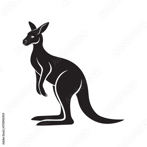 kangaroo vector silhouette sketch art logo idea collection