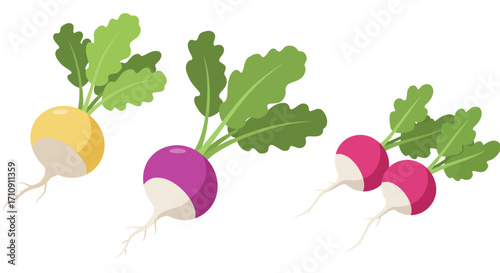 Colorful turnips with green leaves in flat design on white background