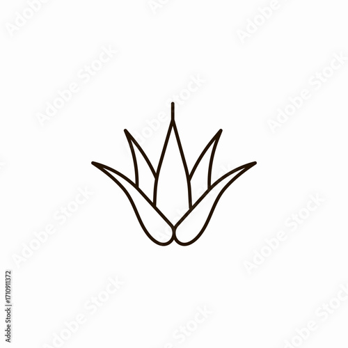aloe vera plant icon sign vector