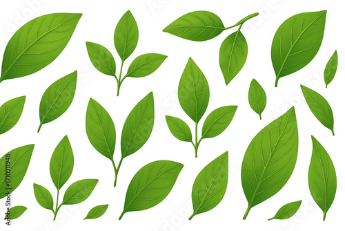 Vibrant green leaves scattered gracefully on a white backdrop, perfect for adding a touch of nature's freshness to your designs or creating a serene, organic feel for any project