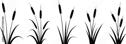 Set of stylized black cattail plant silhouettes, perfect for nature, wetland, and marsh-themed designs, representing ecology, lakeside, and outdoors concepts.