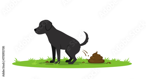 Flat style dog pooping on grass - humorous and cute animal scene
