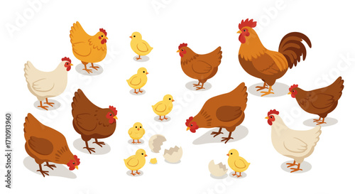 Farmyard chickens and chicks in flat design