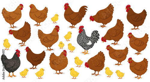 Farmyard flock: roosters, hens, and chicks in colorful cartoon style