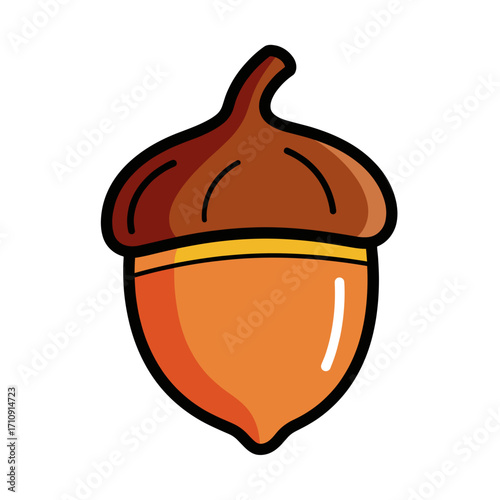 Acorn