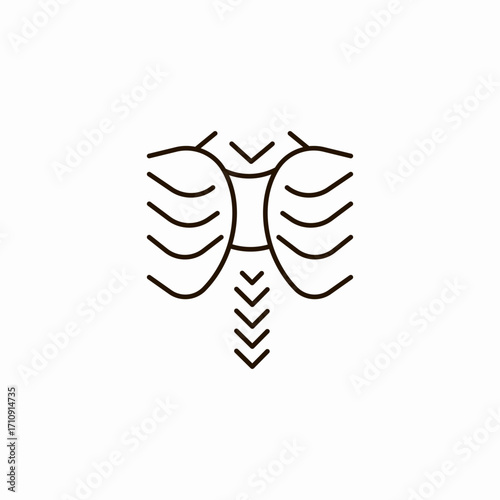 human rib cage icon sign vector
