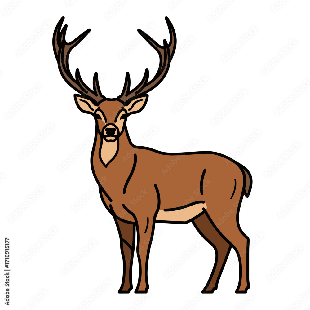 Obraz premium Contoured Deer