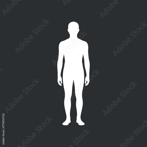 Human Body Silhouette Outline for Anatomy Study, Medical Illustration, and Generic Figure Representation
