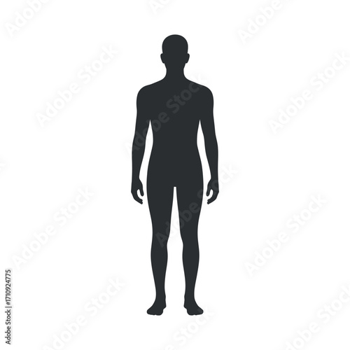 Human Body Silhouette on Transparent Background for Compositing and Design Projects with Isolated Figure