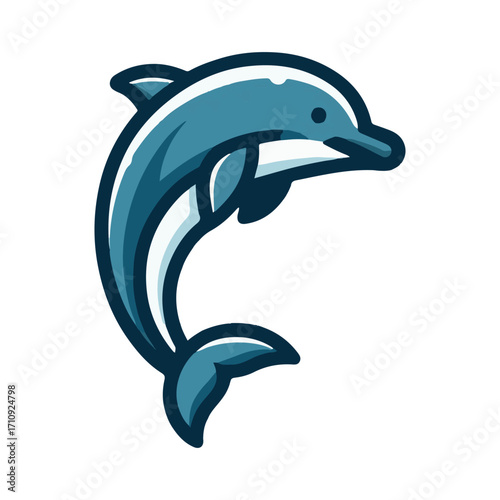 dolphin illustration design