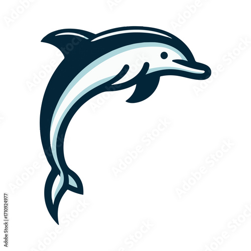 dolphin illustration design