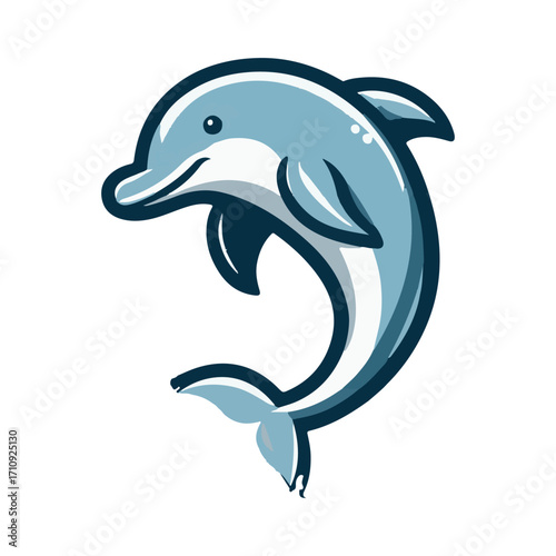dolphin illustration design