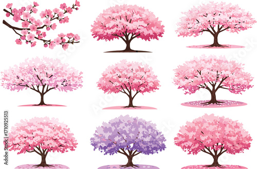 Cherry blossom tree collection, spring sakura trees illustration, pink flowers, seasonal nature design, Japanese garden art, blooming branches, floral background