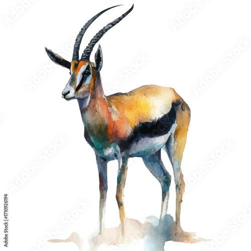 Gazelle in watercolor style, vector illustration, isolated on white background.