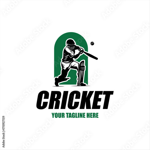 Vector set logo for cricket game for design illustration