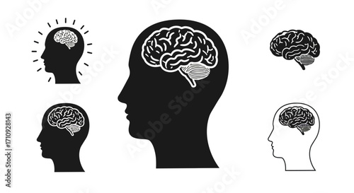 Human brain silhouettes displaying internal structure and various perspectives