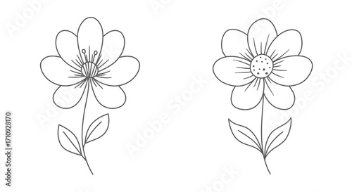 Simple line art illustration of two delicate wildflowers with stems and leaves