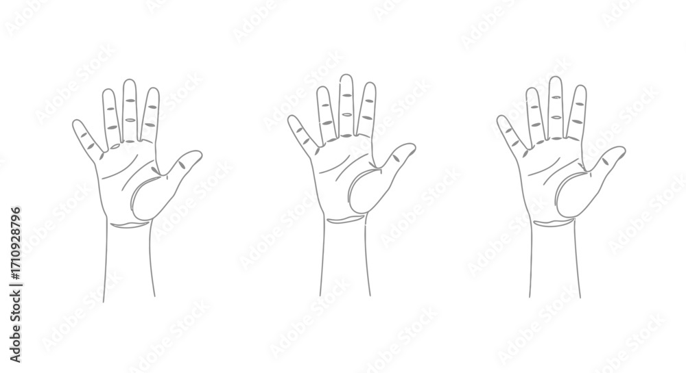 Fototapeta premium Three hand outlines displaying different open palm gestures and signals