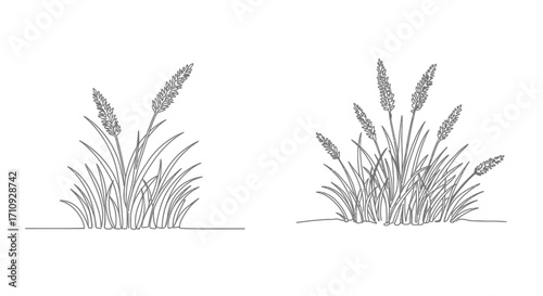 Simple sketches depict clusters of tall grass with delicate foliage